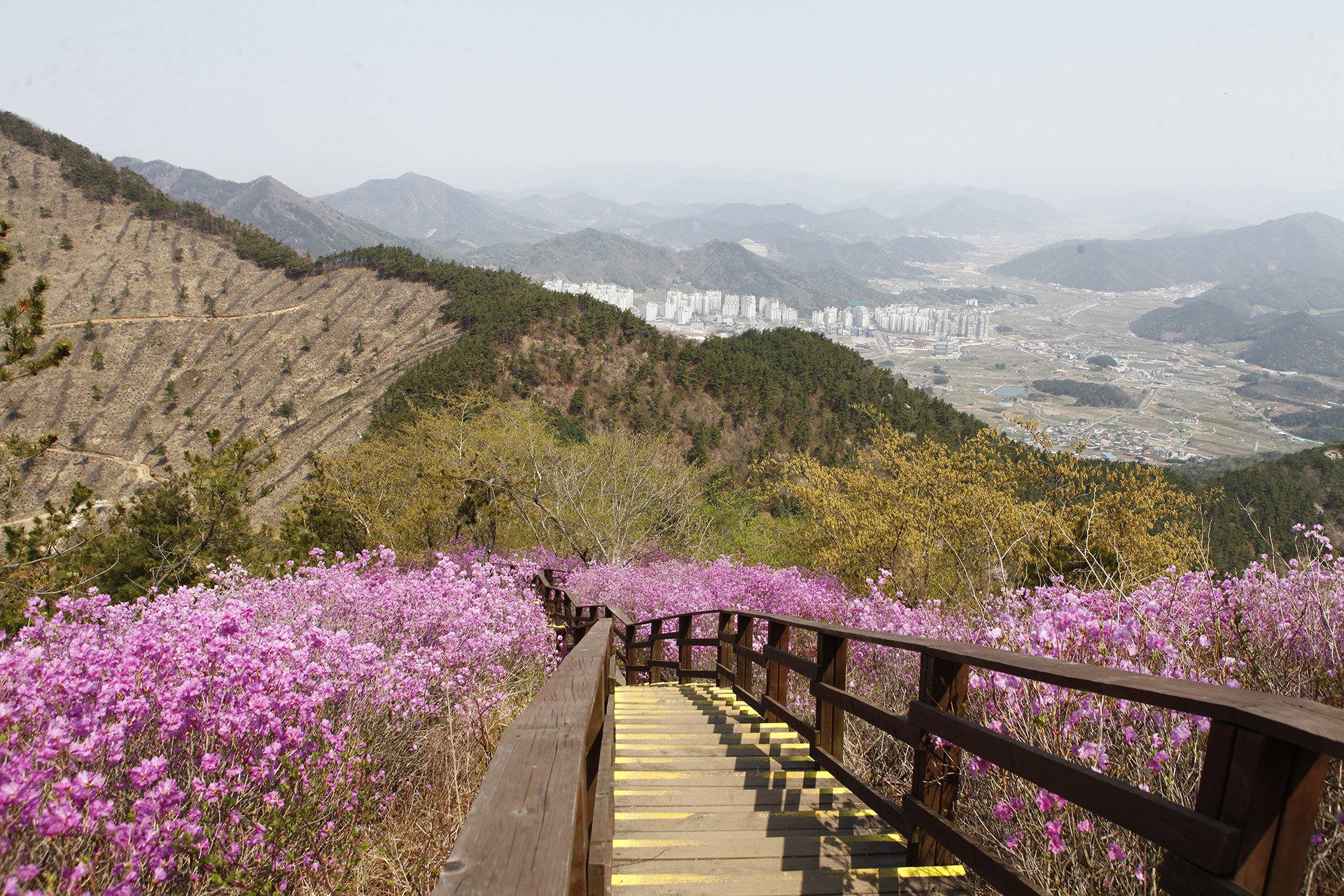 천주산